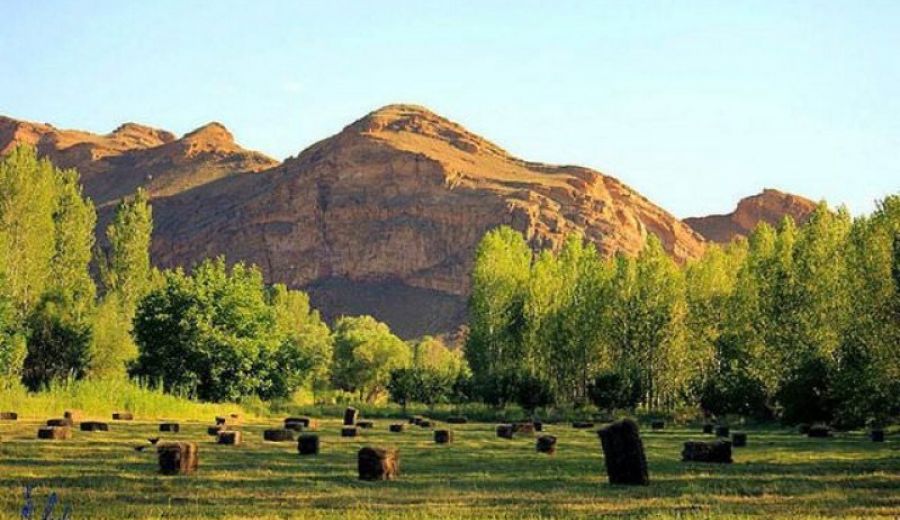 Iğdir Nakliyeci